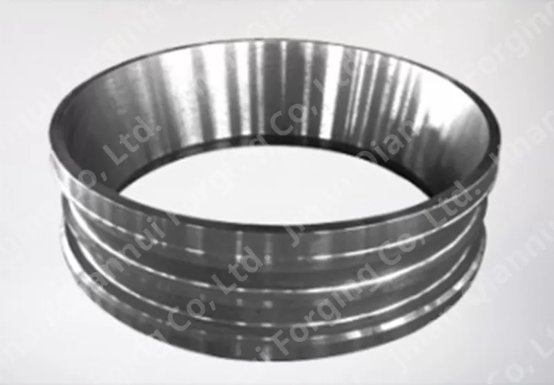 Flange Ring